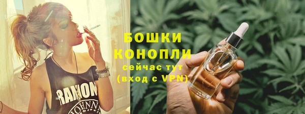 apvp Бородино