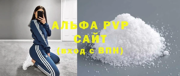 гашик Инта