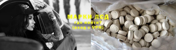apvp Бородино