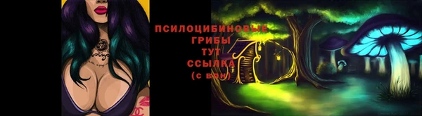 apvp Бородино