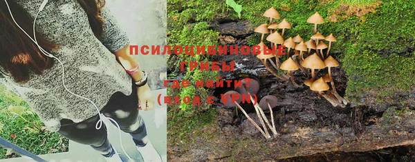 мдпв Бронницы