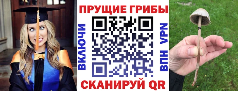 Псилоцибиновые грибы Cubensis  mega вход  Онега 